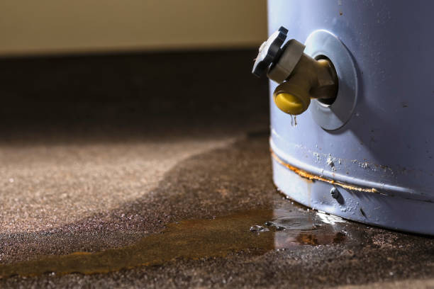 Carpet water damage restoration in Carlsbad, NM
