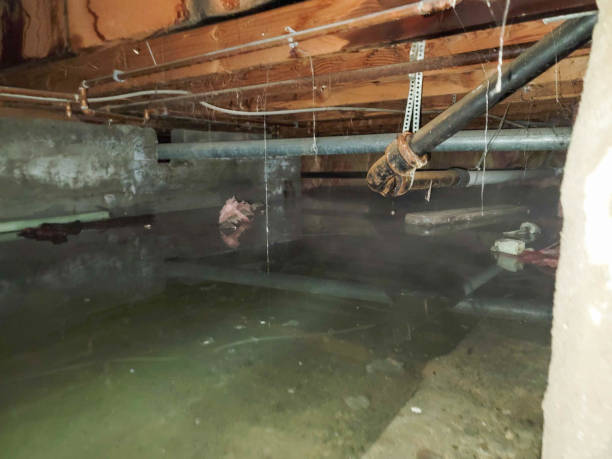 Carpet water damage restoration in Carlsbad, NM