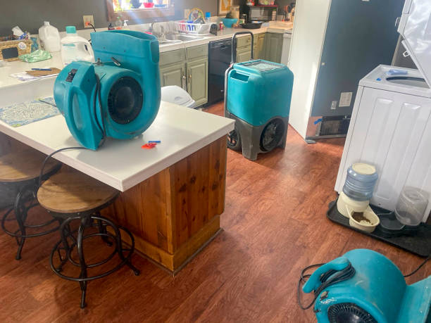 Best Water damage restoration near me  in Carlsbad, NM