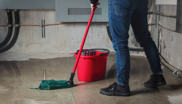 Best 24/7 water damage repair  in Carlsbad, NM