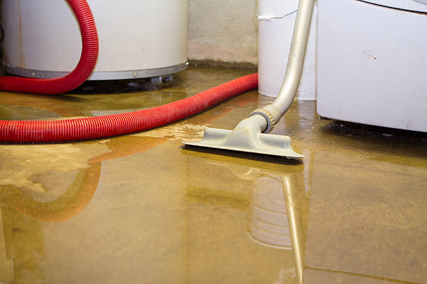 Water damage restoration experts in Carlsbad, NM