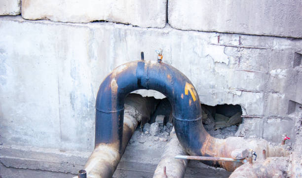 Best Carpet water damage restoration  in Carlsbad, NM