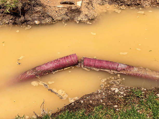 Best Commercial water damage restoration  in Carlsbad, NM